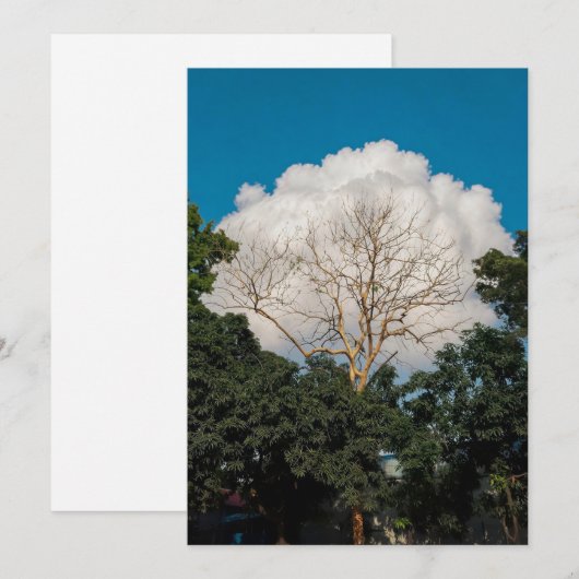 Wolkenbaum Flachkarte (Vorne/Hinten)