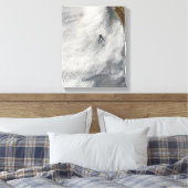 Wolkenbrüche und Ruhm vor der Insel Guadalupe Leinwanddruck (Insitu (Schlafzimmer))