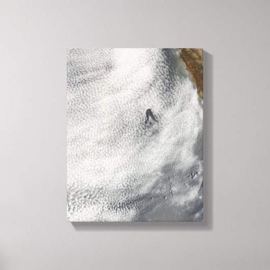 Wolkenbrüche und Ruhm vor der Insel Guadalupe Leinwanddruck (Vorderseite)