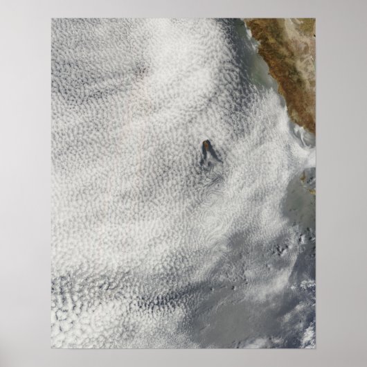 Wolkenbrüche und Ruhm vor der Insel Guadalupe Poster (Vorne)