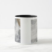 Wolkenbrüche und Ruhm vor der Insel Guadalupe Tasse (Zentrum)