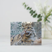 Wolkendecke-1 4x6 postkarte (Stehend Vorderseite)