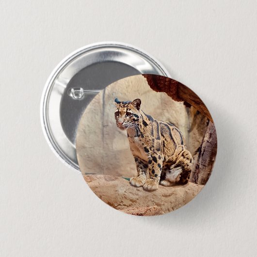 Wolkendecke Button (Vorne & Hinten)