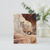 Wolkendecke Landschaftsbild exotische Tierwelt Postkarte (Stehend Vorderseite)