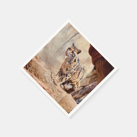 Wolkendecke Landschaftsbild exotische Tierwelt Serviette (Ecke)