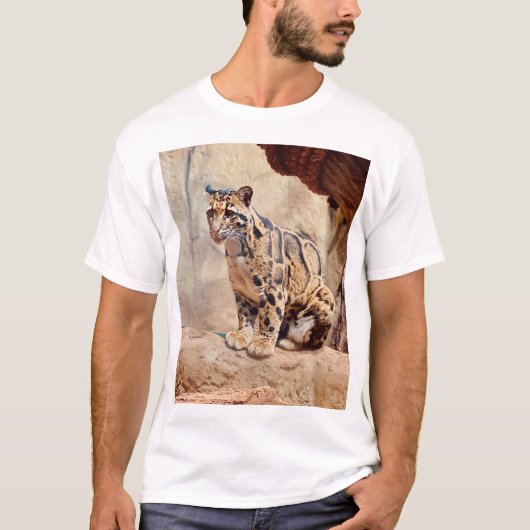 Wolkendecke Landschaftsbild exotische Tierwelt T-Shirt (Vorderseite)