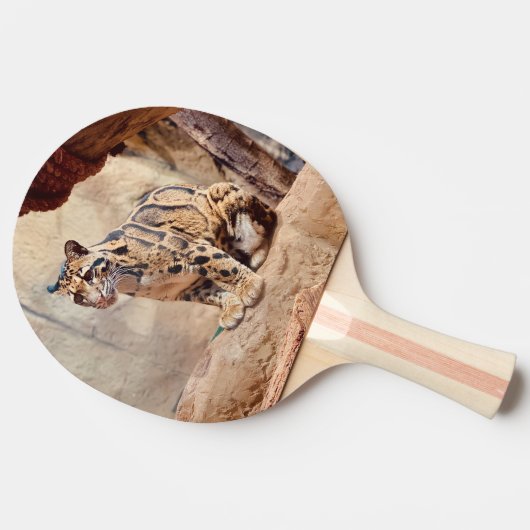 Wolkendecke Landschaftsbild exotische Tierwelt Tischtennis Schläger (Seitenansicht)