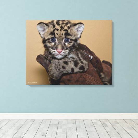 Wolkendecke Leinwanddruck (Insitu (Holzboden))