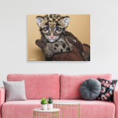 Wolkendecke Leinwanddruck (Insitu (Wohnzimmer))