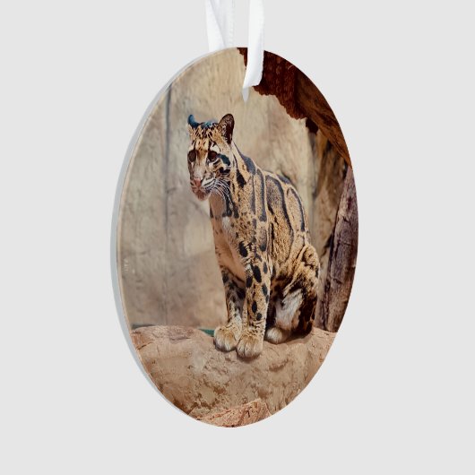 Wolkendecke Ornament (Vorderseite)