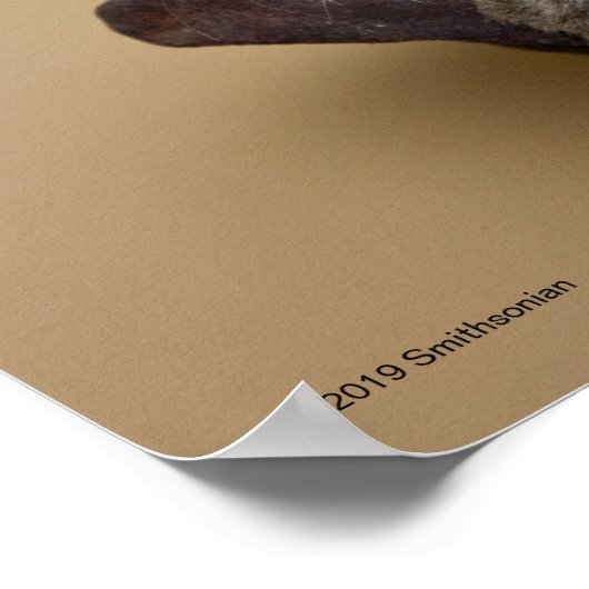 Wolkendecke Poster (Ecke)