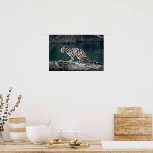 Wolkendecke Poster (Küche)