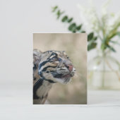 Wolkendecke Postkarte (Stehend Vorderseite)