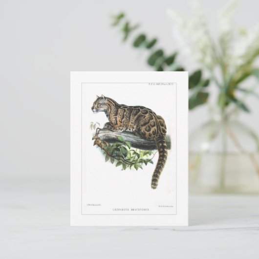 Wolkendecke Postkarte (Stehend Vorderseite)