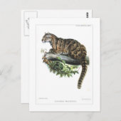 Wolkendecke Postkarte (Vorne/Hinten)