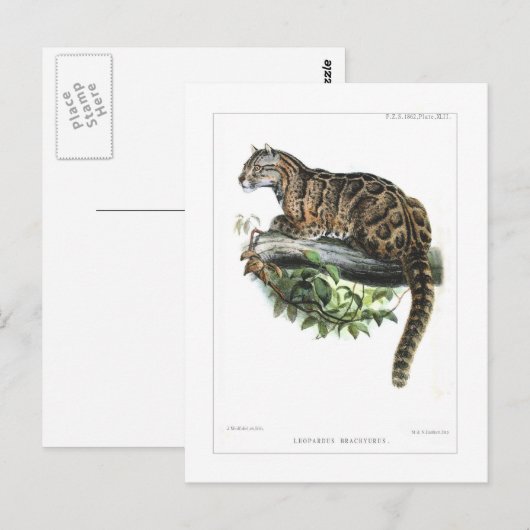 Wolkendecke Postkarte (Vorne/Hinten)