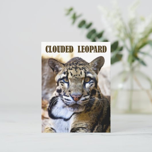 Wolkendecke Postkarte (Stehend Vorderseite)