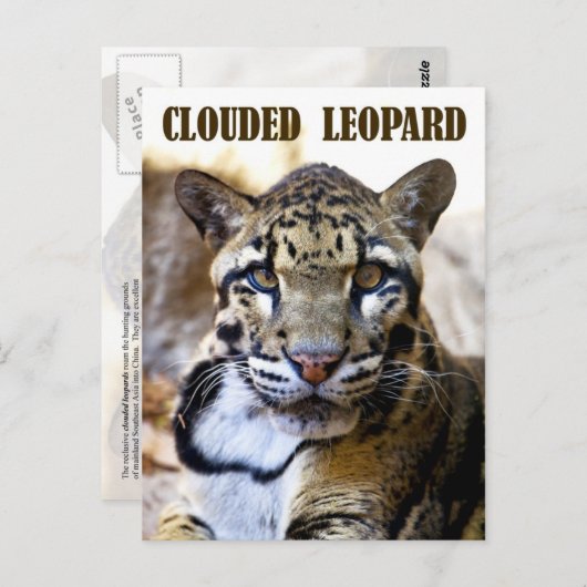 Wolkendecke Postkarte (Vorne/Hinten)