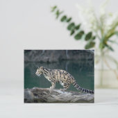 Wolkendecke Postkarte (Stehend Vorderseite)