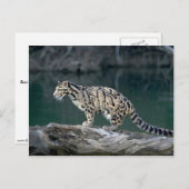 Wolkendecke Postkarte (Vorne/Hinten)