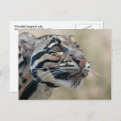 Wolkendecke Postkarte (Vorne/Hinten)