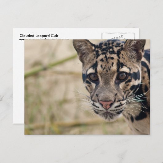 Wolkendecke Postkarte (Vorne/Hinten)