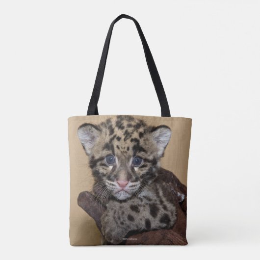 Wolkendecke Tasche (Rückseite)