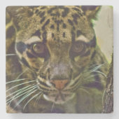 Wolkenkleopard Steinuntersetzer (Vorderseite)