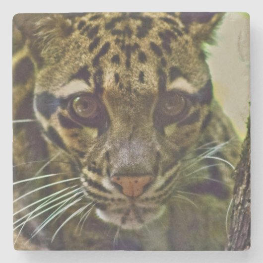 Wolkenkleopard Steinuntersetzer (Vorderseite)