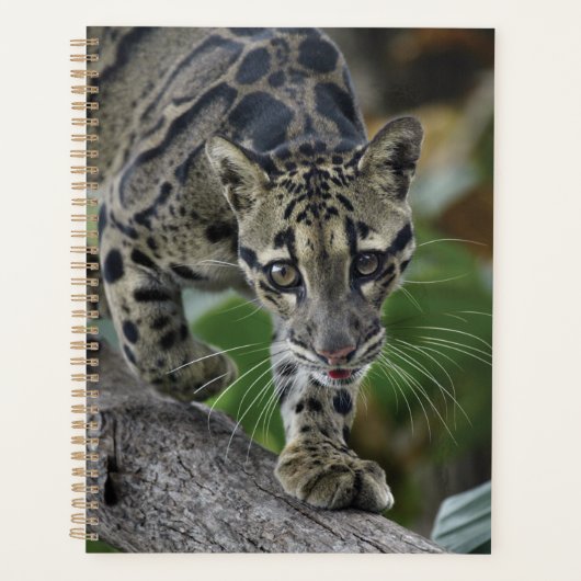 Wolkenkratzer in Bewegung Planer (Vorderseite)