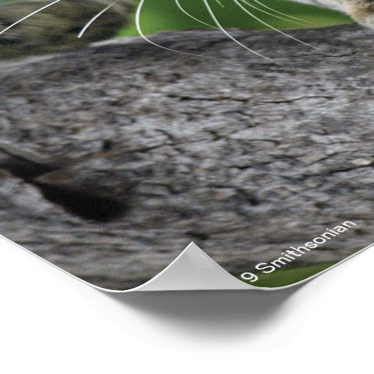 Wolkenkratzer in Bewegung Poster (Ecke)