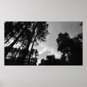 Wolkenkratzer, Plakat (Vorne)