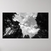 Wolkenkratzer, Plakat (Vorne)