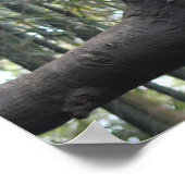 Wolkenkratzer Poster (Ecke)