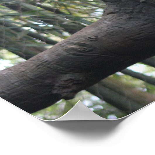 Wolkenkratzer Poster (Ecke)