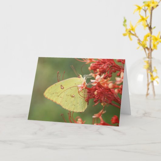 Wolkenlose Karte (Gelbe Blume)