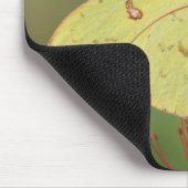 Wolkenloser Schwefel-Schmetterling Mousepad (Ecke)