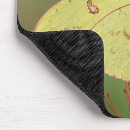 Wolkenloser Schwefel-Schmetterling Mousepad (Ecke)