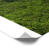 Wolkensee Poster (Ecke)