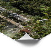 Wolkenübergang über dem Rainier-Foto glänzend Poster (Ecke)