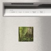 Wolkenwald, Bosque de Paz, Costa Rica Magnet (In Situ (Geschirrspüler))
