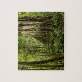 Wolkenwald, Bosque de Paz, Costa Rica Puzzle (Vertikal)