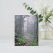 Wolkenwald, Kilimanjaro, Tansania Postkarte (Stehend Vorderseite)