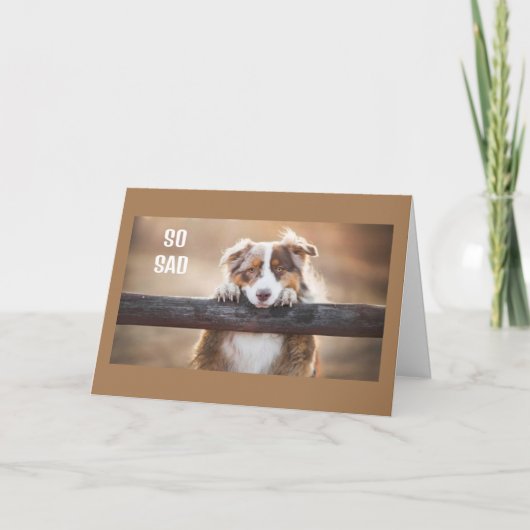 WOLL, DIES IN PERSON ZU SAGEN **GLÜCKLICH 60. GEBU KARTE (Vorderseite)