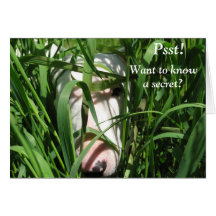 Woll, ein Geheimnis zu kennen