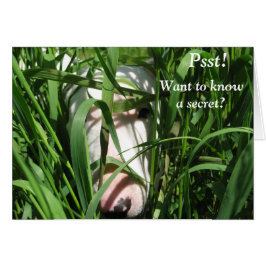 Woll, ein Geheimnis zu kennen