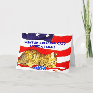 Woll eine amerikanische Katze? Adoptier einen Fera Karte
