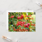 Woll einfach Hellooo zu sagen! Karte (Vorderseite/Rückseite Beispiel)