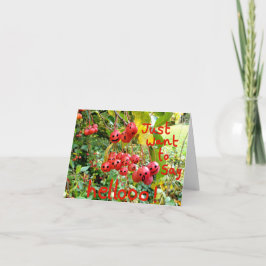 Woll einfach Hellooo zu sagen! Karte