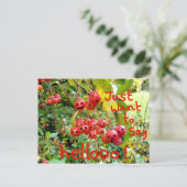 Woll einfach Hellooo zu sagen! Postkarte (Stehend Vorderseite)
